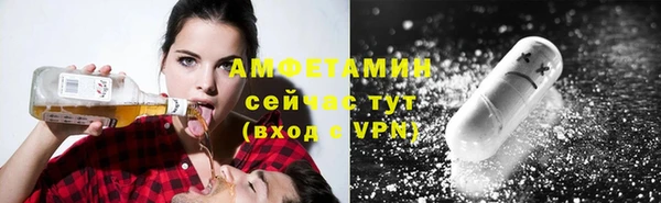прущие грибы Елизово