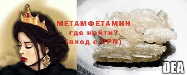 прущие грибы Елизово