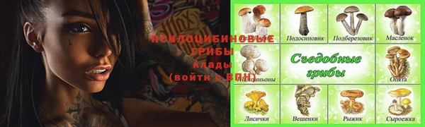 мяу мяу мука Елабуга