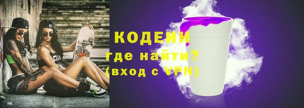 прущие грибы Елизово