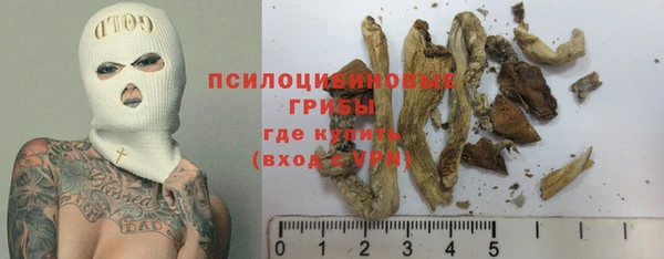 мяу мяу мука Елабуга