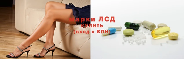 прущие грибы Елизово