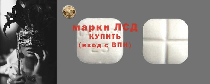 прущие грибы Елизово