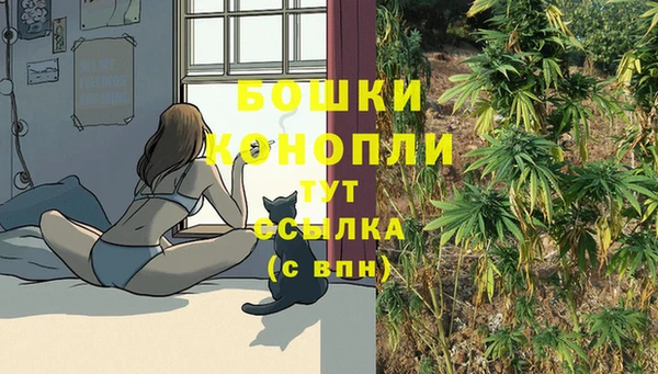 мяу мяу мука Елабуга