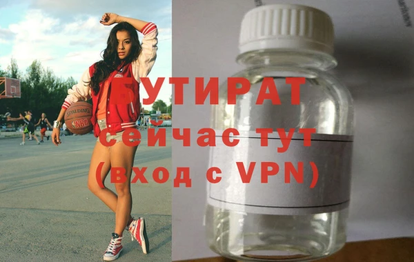 прущие грибы Елизово