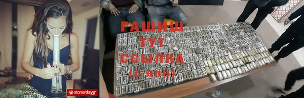 прущие грибы Елизово