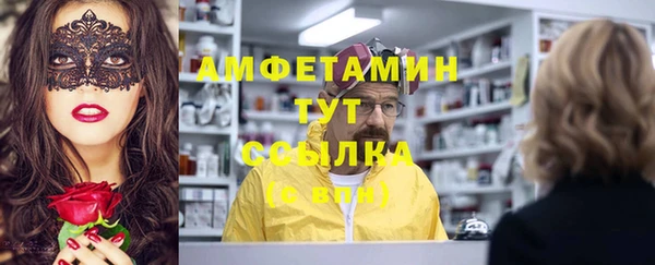 прущие грибы Елизово