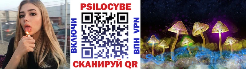 Купить закладки  Кодинск  Галлюциногенные грибы Psilocybe 